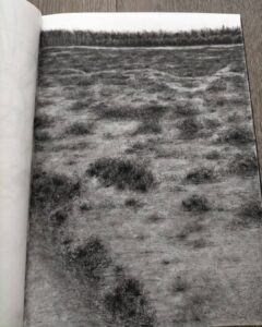 IMG_20210411_164808_326